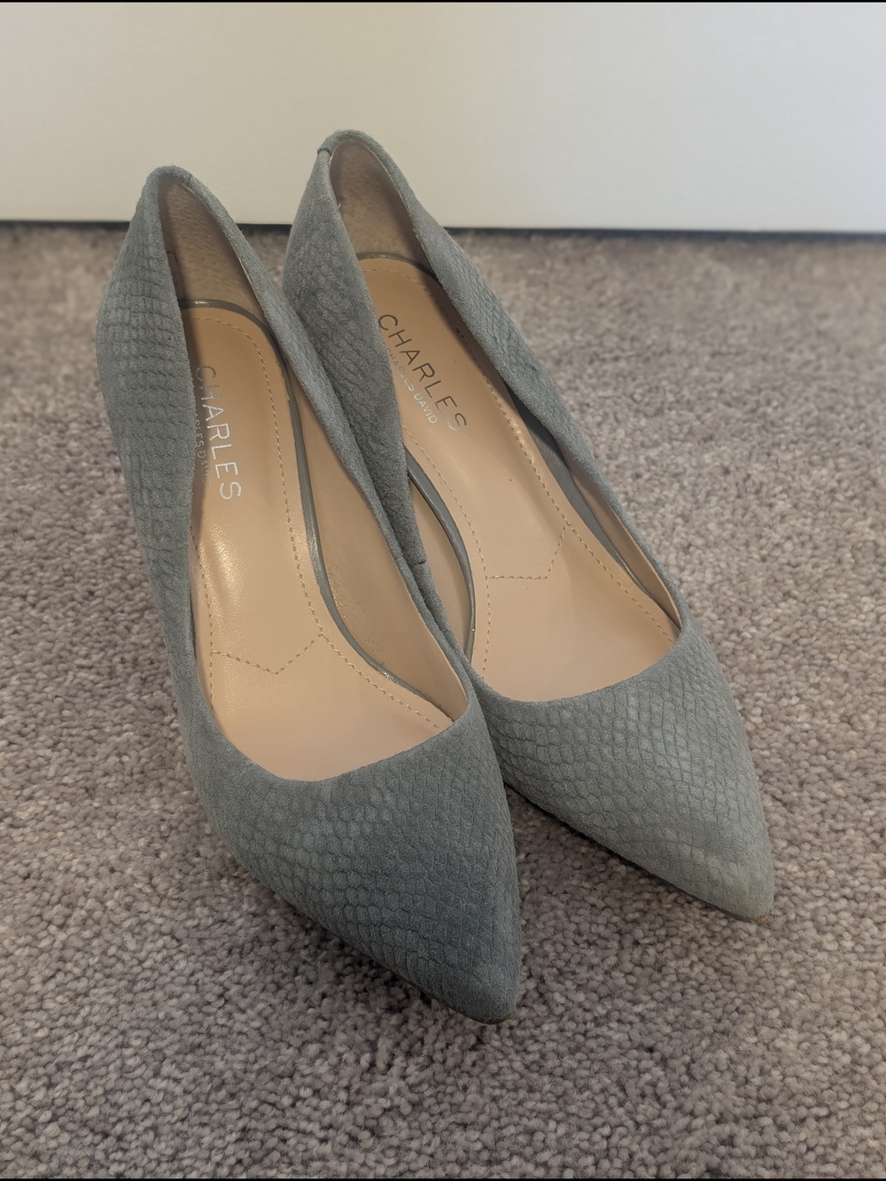 Charles by Charles David Women's Pointed Toe Pumps in Sage Gray